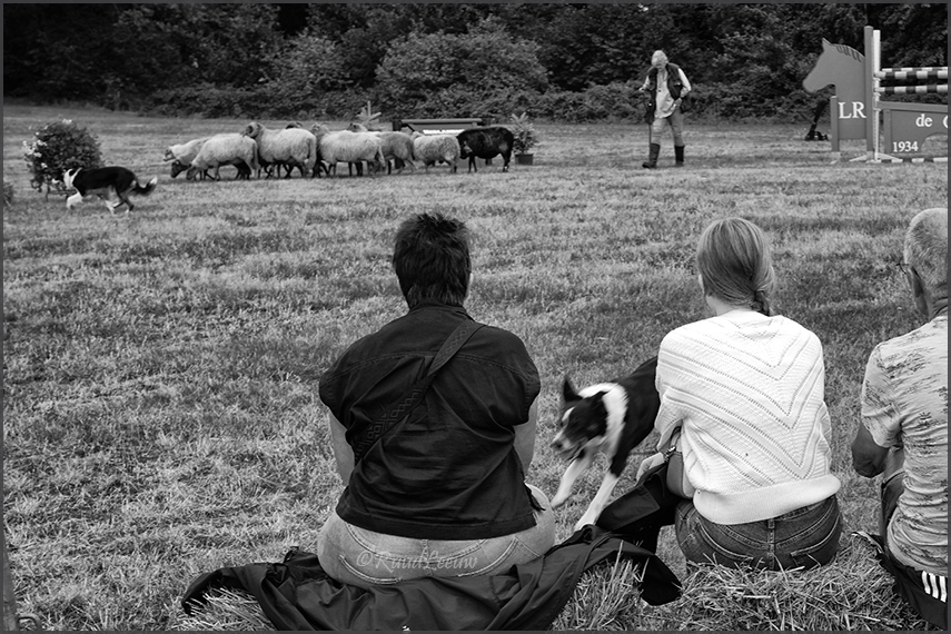 British Weekend at Castle Vorden 2025